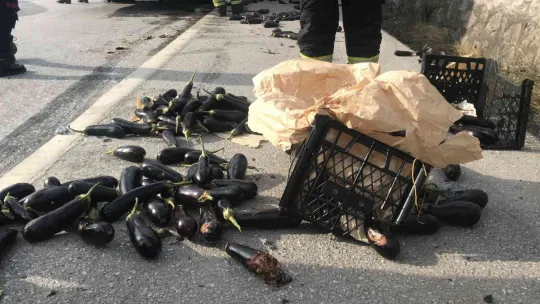 Efe Tur otobüsü ile kamyonet çarpıştı