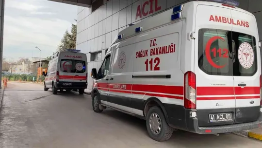 Sesler kavga zannedildi, gerçek bambaşka çıktı
