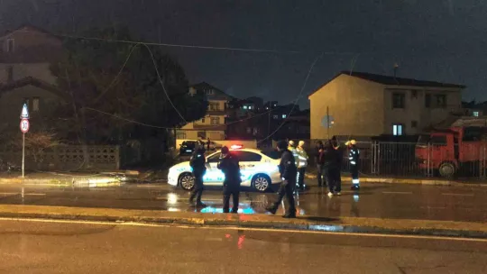 Seyir halinde dorsesi açılan kamyon elektrik tellerini devirdi