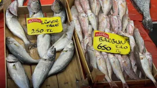 Sezon açıldı, tezgahlarda hamsi ve istavrit bolluğu