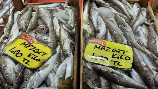 Sezon açıldı, tezgahlarda hamsi ve istavrit bolluğu