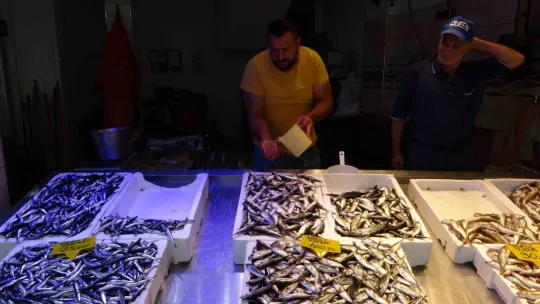 Tezgâhlarda görünmeyen hamsi yerini aldı