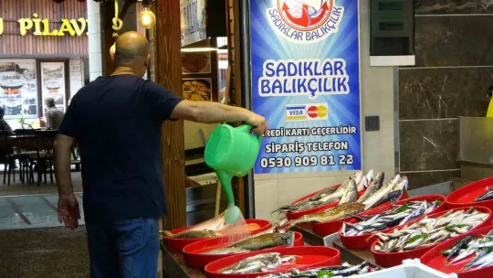 Tezgâhlarda görünmeyen hamsi yerini aldı
