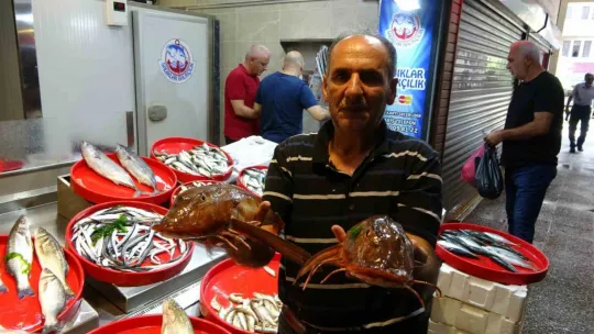 Tezgâhlarda görünmeyen hamsi yerini aldı