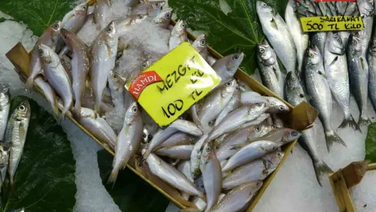 Sıcak havaya rağmen balık tüketimi azalmadı