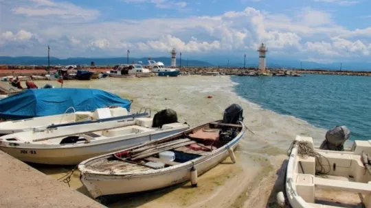 Şiddetli yağmur denizdeki salyayı azalttı