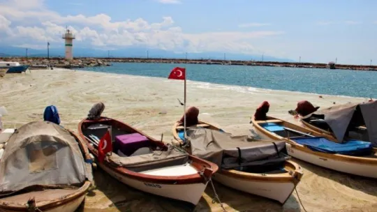 Şiddetli yağmur denizdeki salyayı azalttı