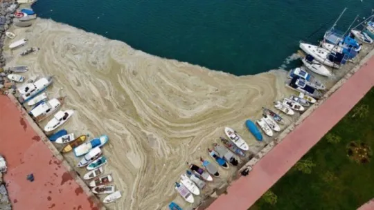 Şiddetli yağmur denizdeki salyayı azalttı