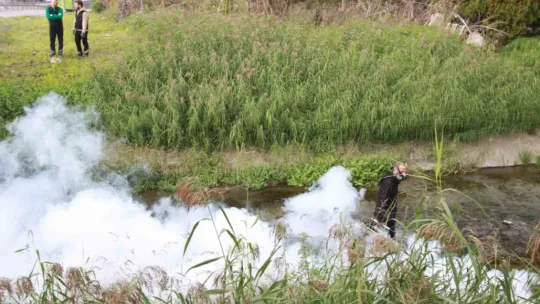 Sinekle mücadelede kışlık uygulama modeline geçildi