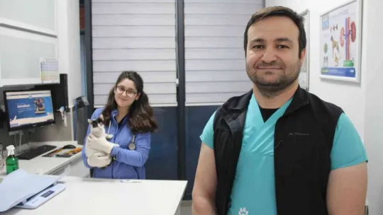 Sokak kedileri kışı veteriner kliniklerinde geçirecek
