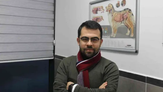Sokak kedileri kışı veteriner kliniklerinde geçirecek
