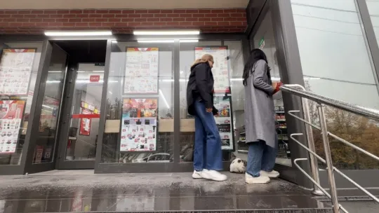 Sokak kedilerinin market mesaisi