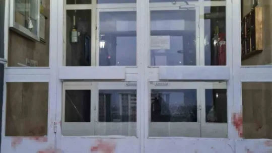 Sokak köpekleri yavru köpeği ve kediyi parçaladı