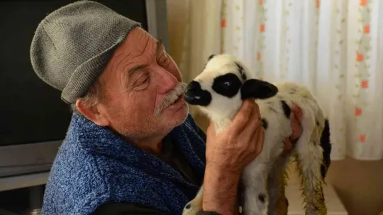 Şişman Amca hayvanları sayesinde hastalığını unuttu