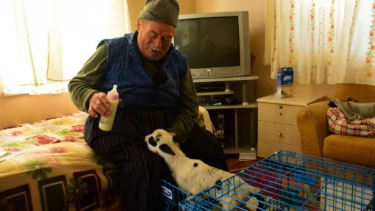 Şişman Amca hayvanları sayesinde hastalığını unuttu