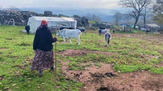 Kendi elleriyle yaptıkları evi yine elleriyle yıkıyor