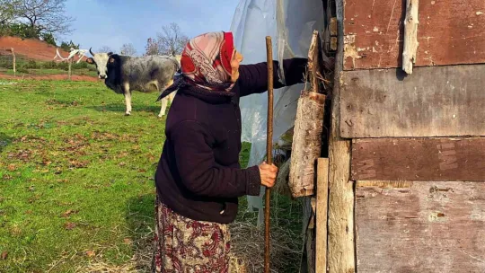 Kendi elleriyle yaptıkları evi yine elleriyle yıkıyor