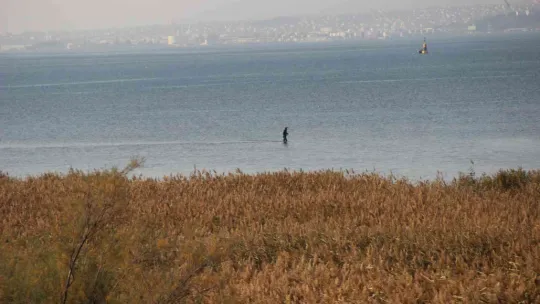 Suçüstü yakalandı, sitem etti!