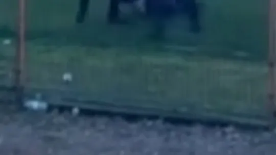 Taraftarlar kırdıkları koltukları sahaya fırlattı, polis biber gazıyla müdahale etti