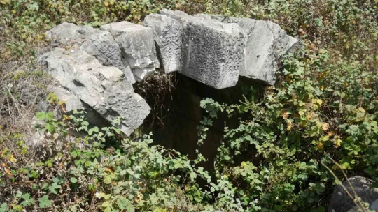 Tarih çalılıkların arasında kayboldu