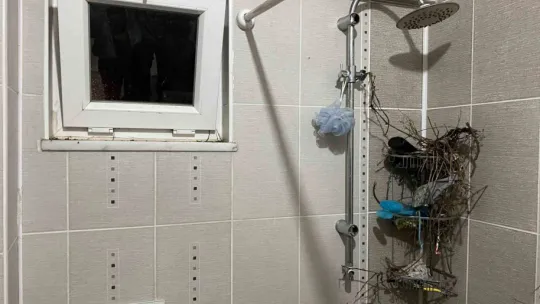 Tatilden evine dönen vatandaş neye uğradığını şaşırdı