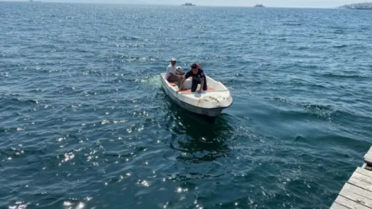 Tekne üzerinde kedi kurtarma operasyonu!