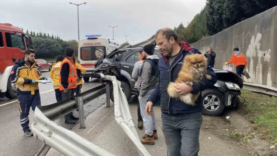 TEM'de cip istinat duvarına çarptı: Köpeğini bir an olsun bırakmadı