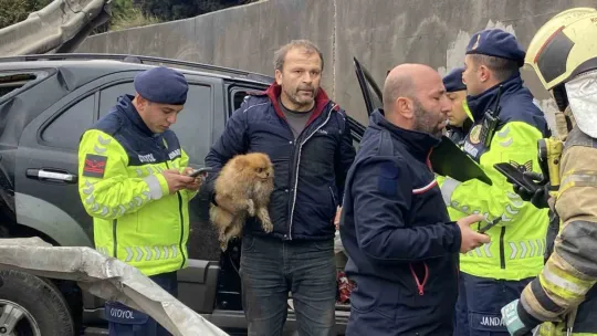 TEM'de cip istinat duvarına çarptı: Köpeğini bir an olsun bırakmadı