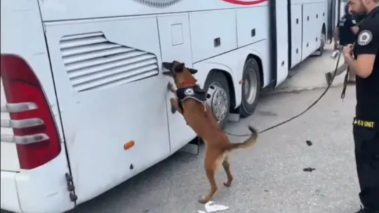Yolcu otobüsünden 76 kilo eroin çıktı