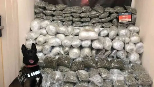 115 kilo uyuşturucuyla ilgili 2 kişi tutuklandı