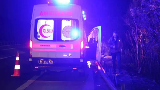TEM'de kamyon devrildi