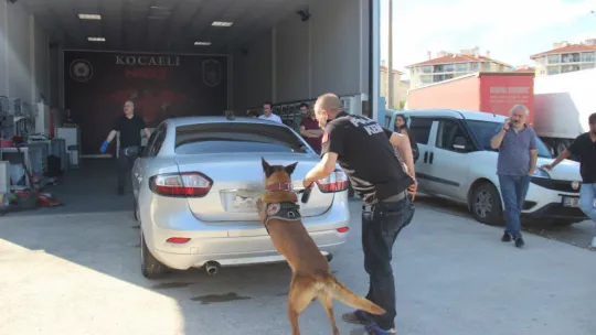 119 kilo uyuşturucu ile yakalandılar