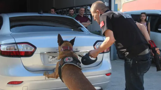 119 kilo uyuşturucu ile yakalandılar