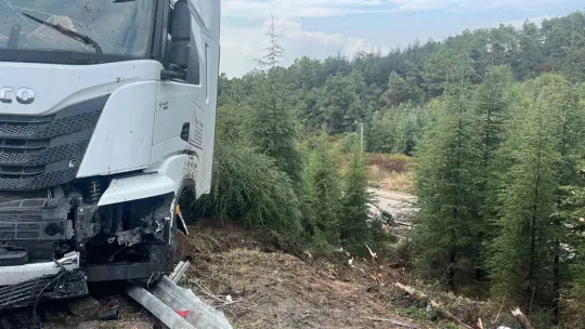 TEM'de zincirleme kaza, LPG yüklü tanker ağaçlık alana uçtu