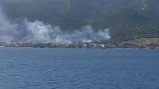 TEM Otoyolu kenarında başlayan yangın ormana sıçradı: 2 saatte söndürüldü