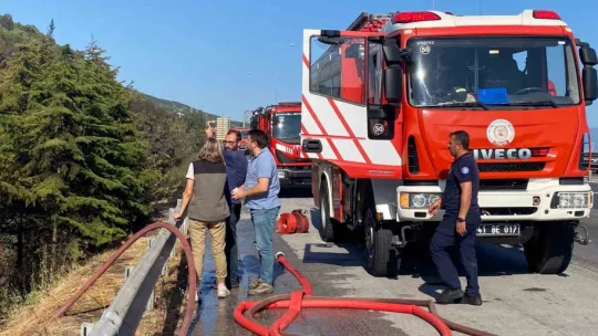 TEM Otoyolu kenarında başlayan yangın ormana sıçradı: 2 saatte söndürüldü