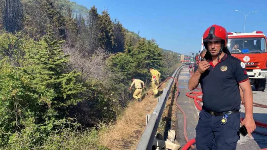 TEM Otoyolu kenarında başlayan yangın ormana sıçradı: 2 saatte söndürüldü