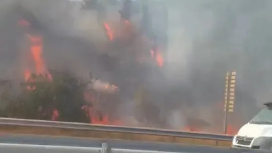 TEM Otoyolu kenarında başlayan yangın ormana sıçradı: 2 saatte söndürüldü