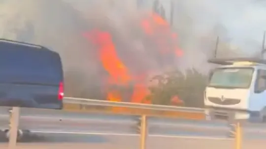 TEM Otoyolu kenarında başlayan yangın ormana sıçradı: 2 saatte söndürüldü