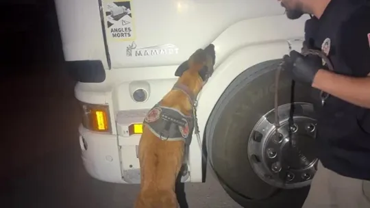 TIR'da zulalanmış uyuşturucu ele geçirildi