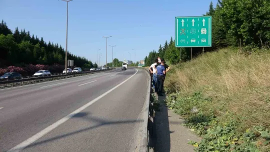Kocaeli'de çürümüş ceset bulundu
