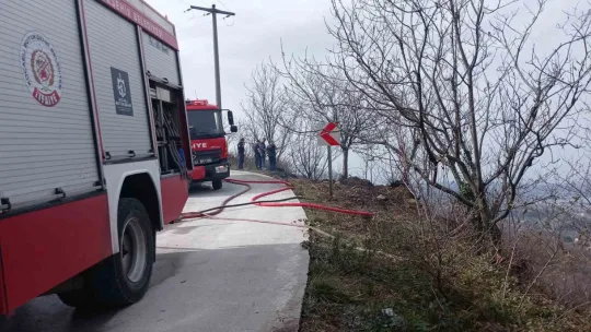 Temizlik amacıyla yakılan ateş ormanı küle çevirdi