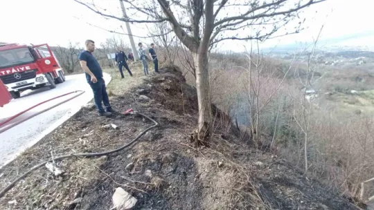 Temizlik amacıyla yakılan ateş ormanı küle çevirdi