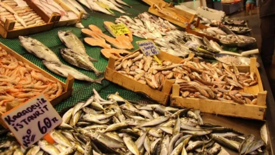 Tezgahlarda 7 gün sonra daha canlı ve daha ucuz balıklar satışa sunulacak 