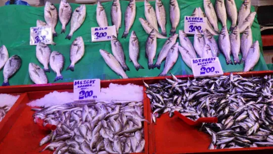 Tezgahlarda çeşit çok ama en çok palamut satılıyor