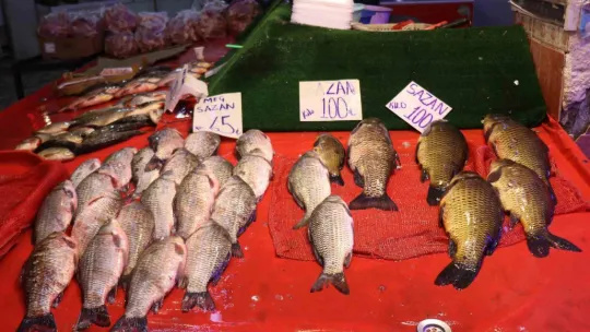 Tezgahlarda çeşit çok ama en çok palamut satılıyor