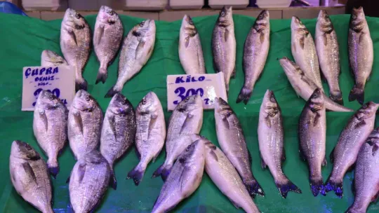 Tezgahlarda çeşit çok ama en çok palamut satılıyor