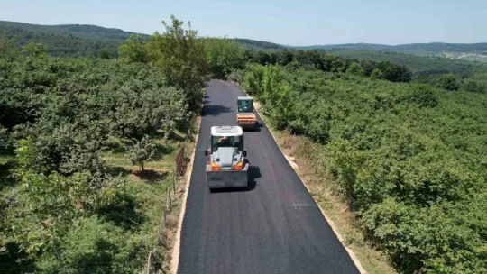 Togolu öğrenci stajını Kocaeli'nin köylerinde yapıyor