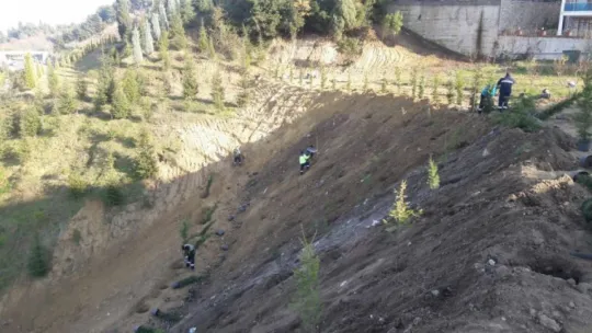 Toprak kayması yaşanan arazi ağaçlandırıldı