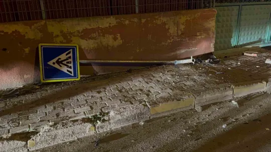 Trafik tabelasına çarpan otomobilin sürücüsü yaralandı